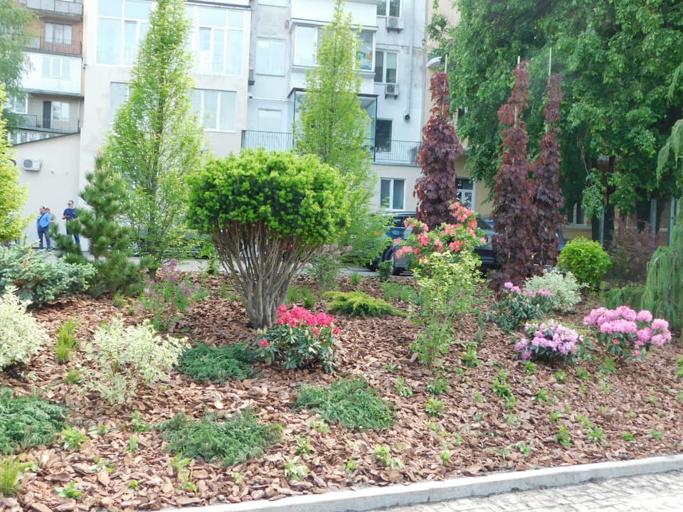 Фото: Александр Густелев.