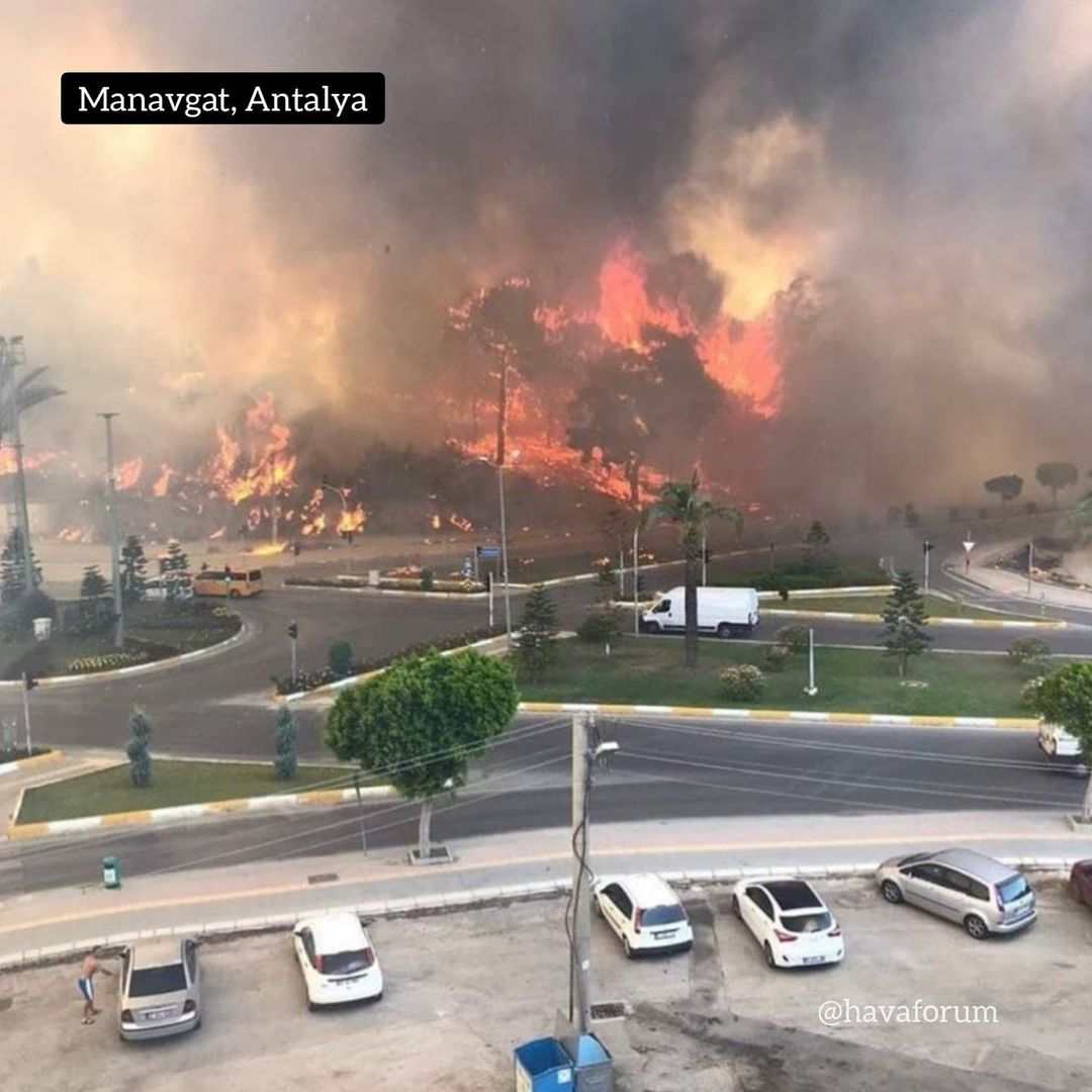 Добрались до Анталии: в Турции бушуют масштабные лесные пожары фото 3 2