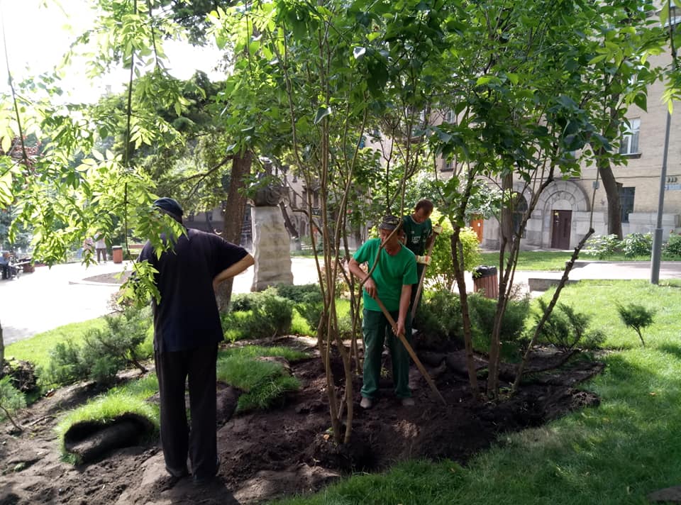 Фото: Галина Алавердова.