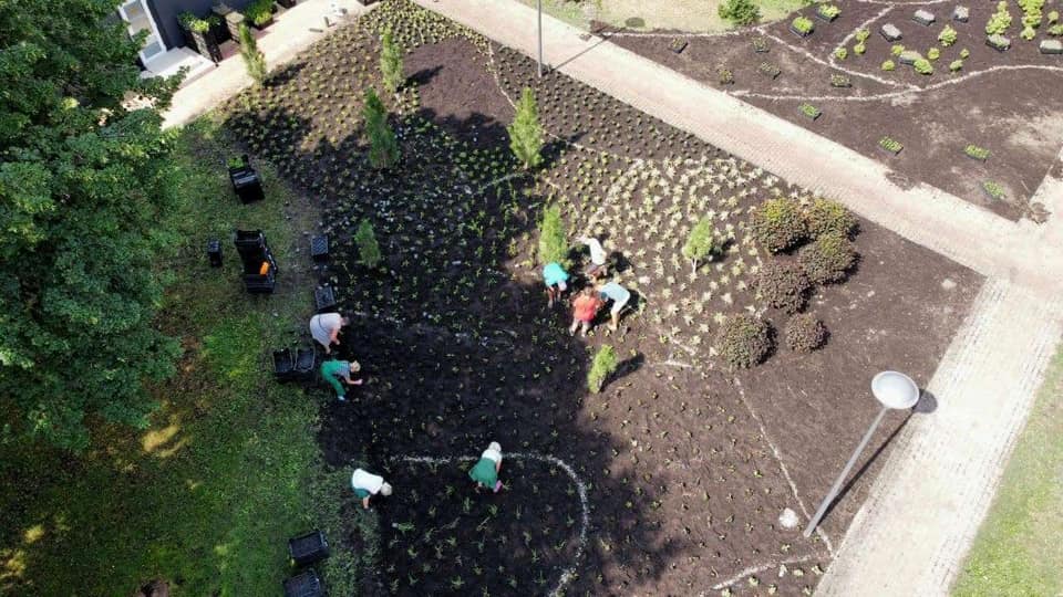 Фото: "Киевзеленбуд"