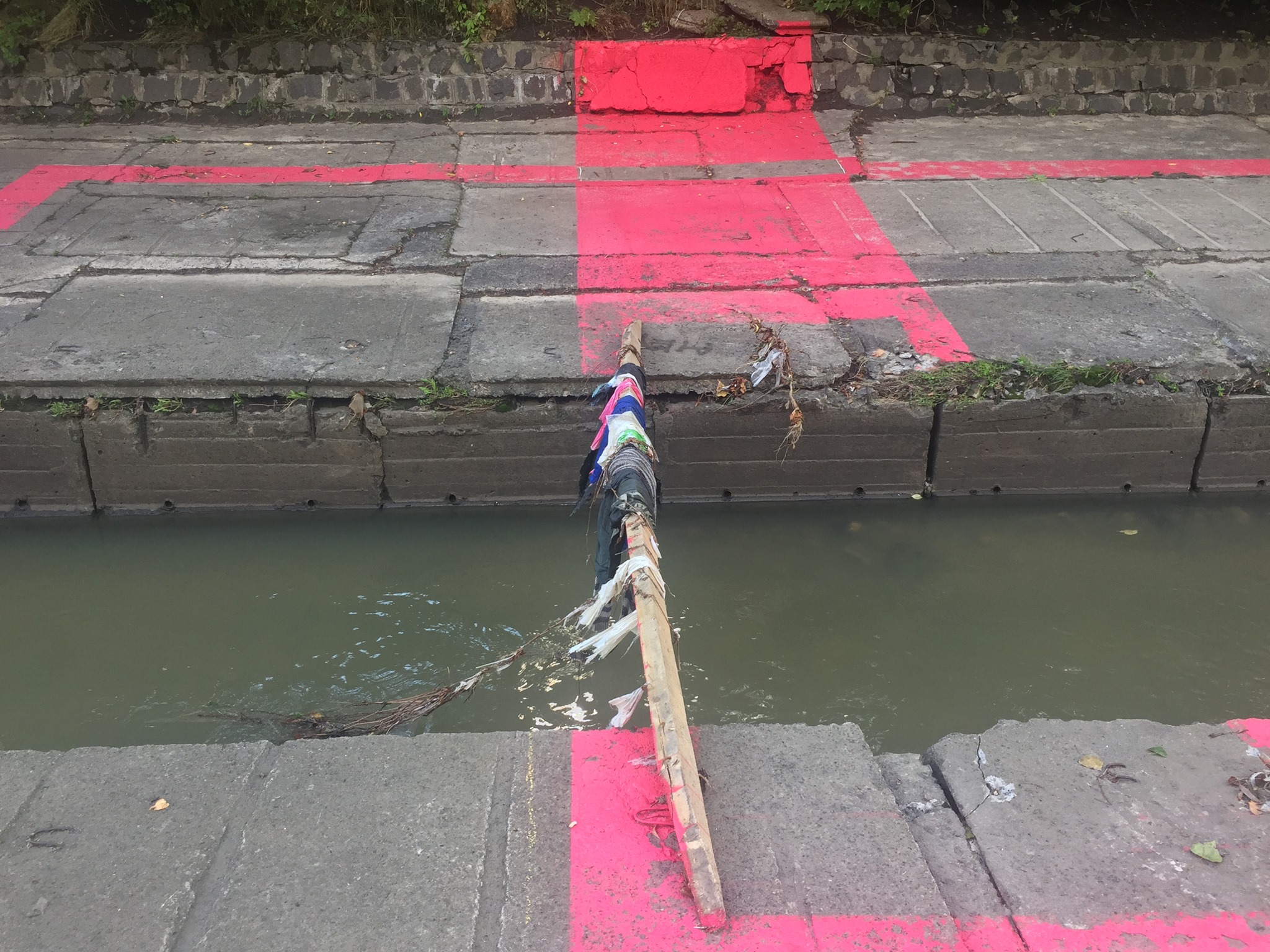 Фото: Денис Филиппов