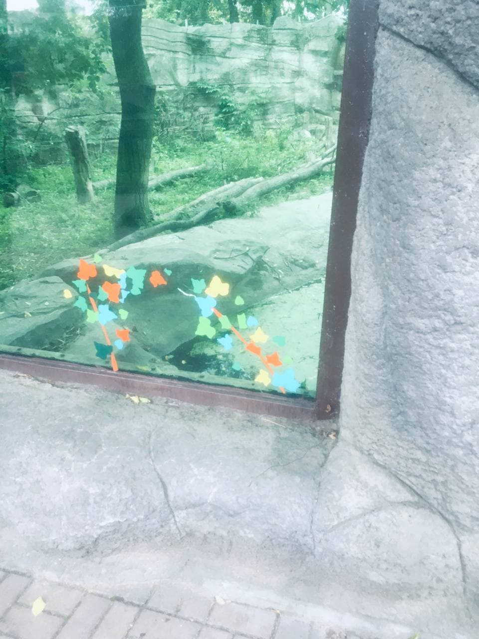  Фото: РБК-Украина