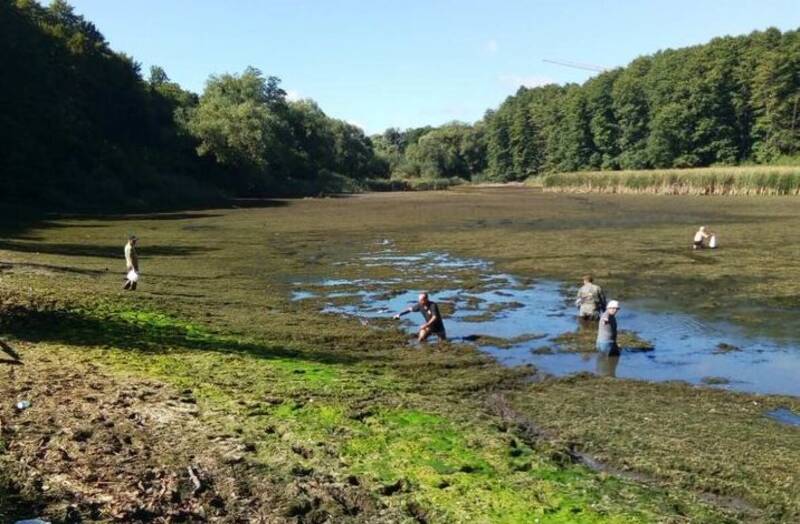 Фото: НПП "Голосеевский"