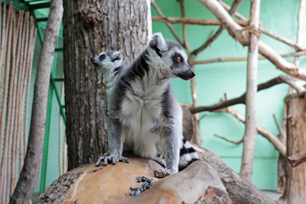  Фото: Александр Марущак, Сегодня