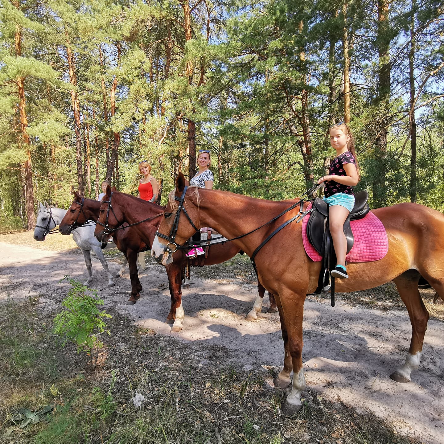 Фото: Конноспортивный клуб "Дарвин"