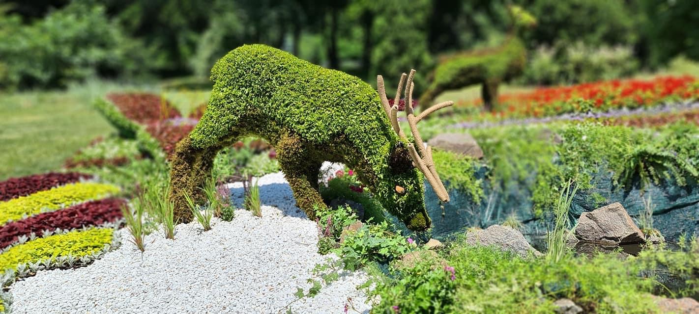 Полюбуйся: на Спивочем поле заработала выставка цветов с дикими животными фото 2 1