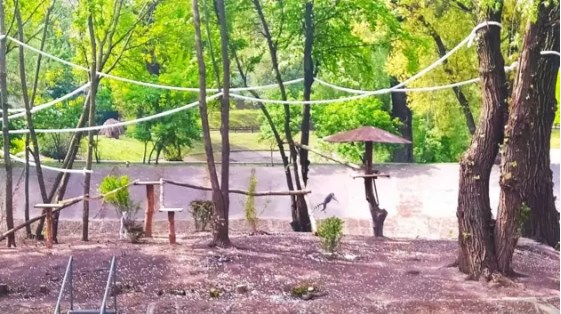  Фото: Александр Марущак, Сегодня