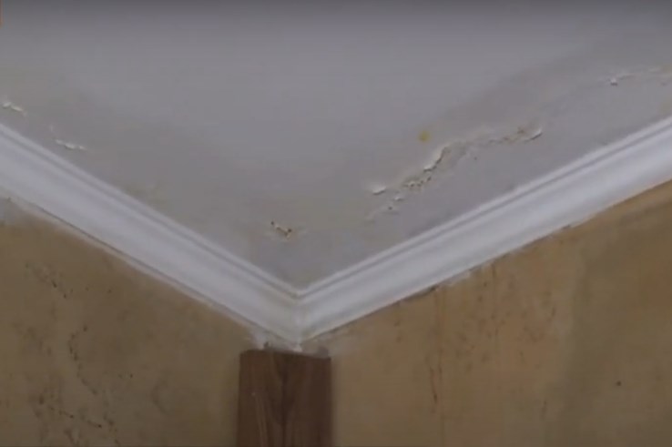 Скриншот видео телеканала "Київ"