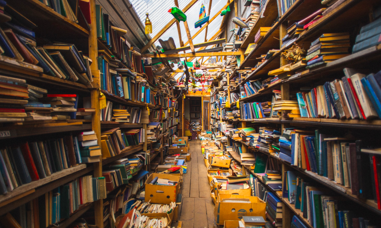 Фото: Юлий Кудланык 