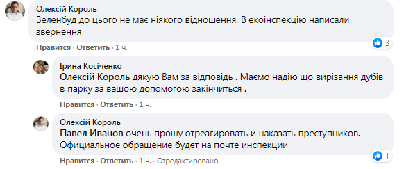 Спустя столетия: в Голосеевском парке неизвестные спилили 17 вековых дубов фото 1