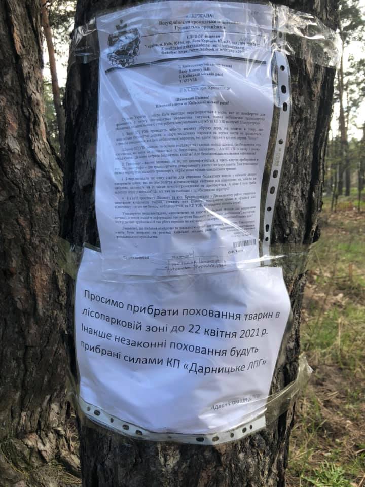 Фото: Анна Лиманская.