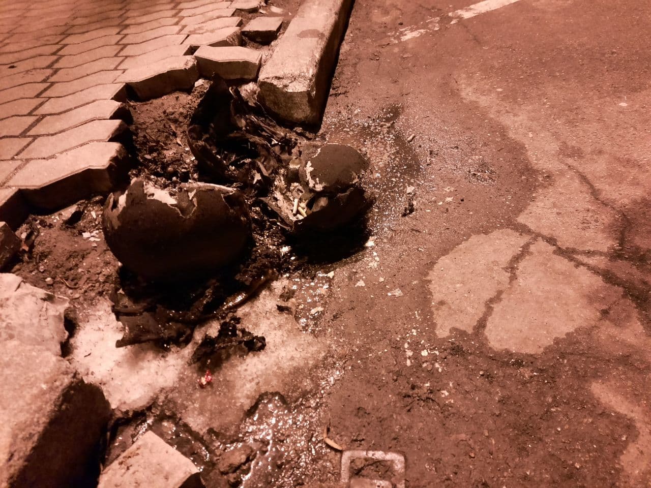 Фото: Анна Носкова, Vgorode.