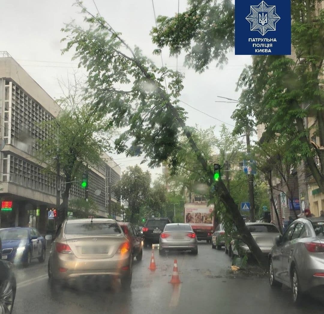 Фото: Патрульная полиция Киева.