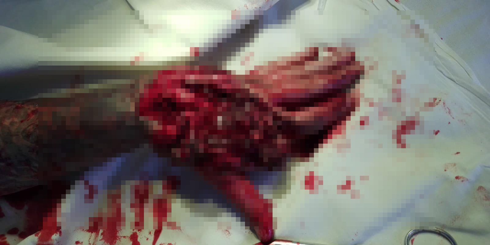 Фото: Антон Геращенко.