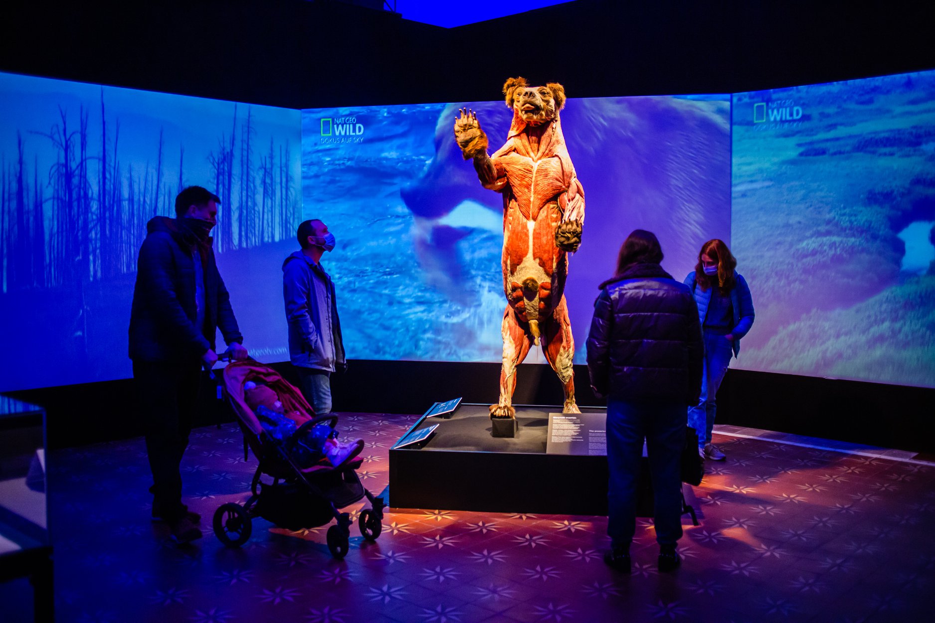 Куда пойти с детьми на 8 Марта в Киеве? фото 3 2