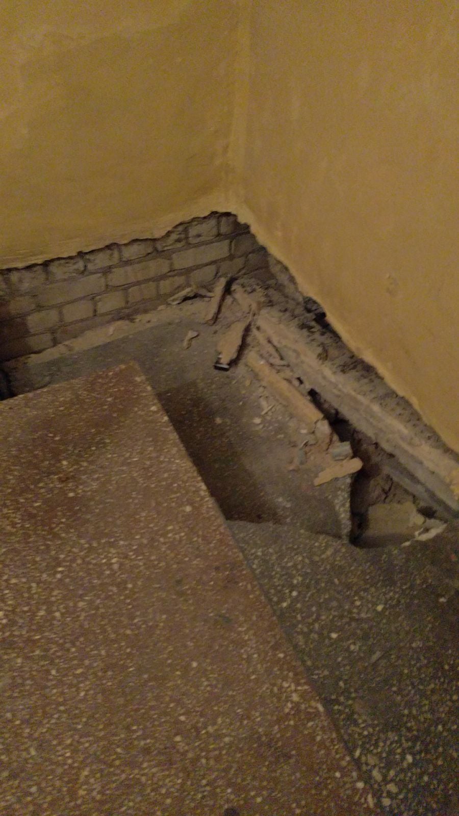 Состояние дома на проспекте Лобановского. Фото: Александра Лавриненко