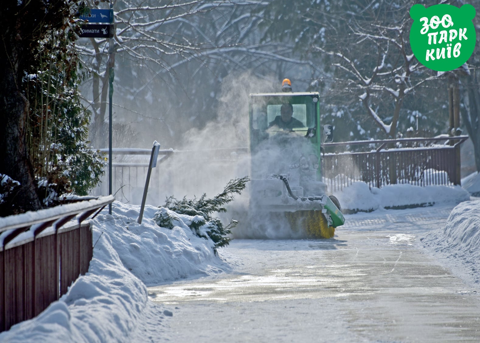 Радуются зиме: как животные зоопарка наслаждаются снежной погодой фото 1