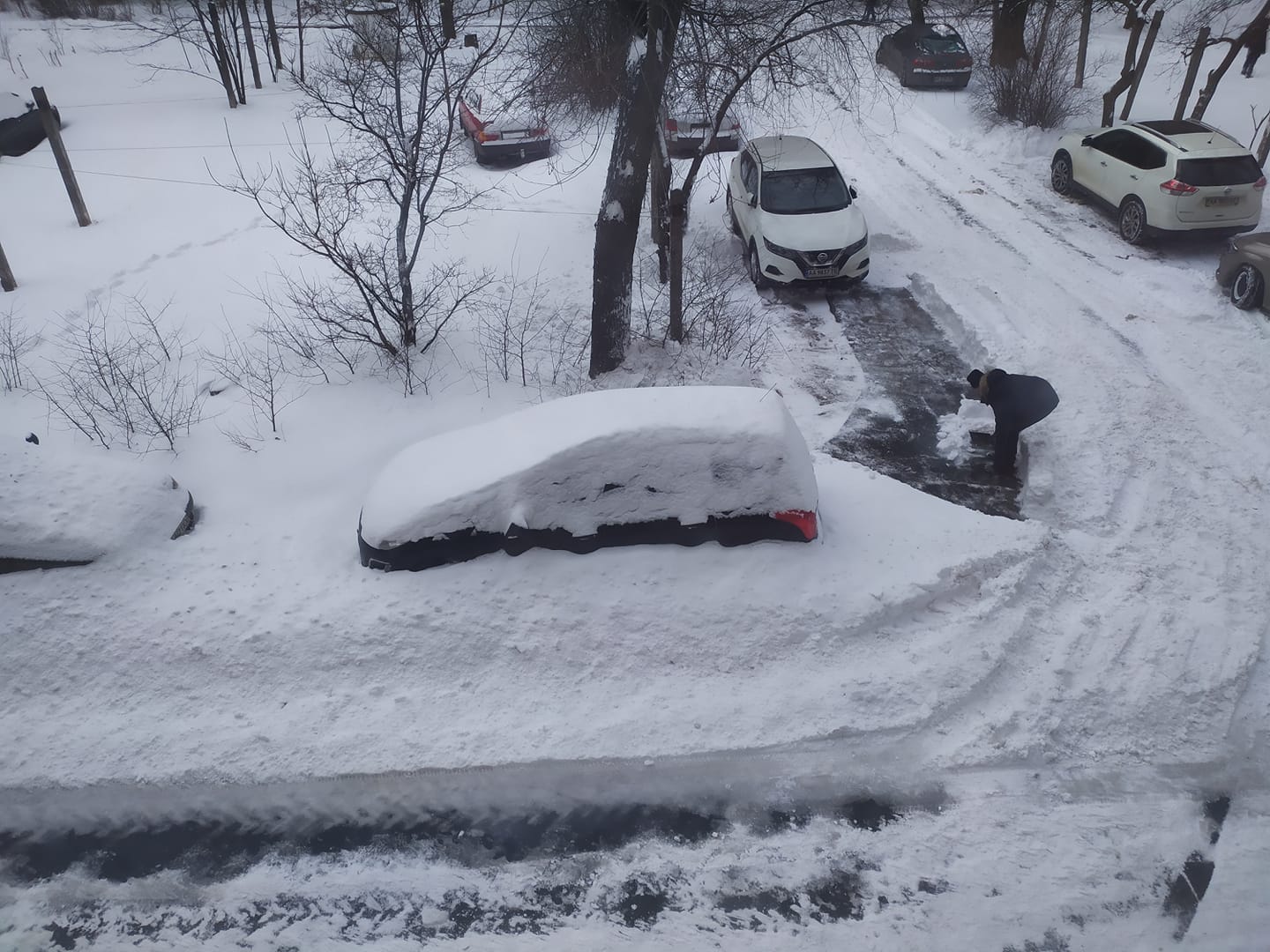Сами разгребают снег: как киевляне работают вместо коммунальщиков фото 1