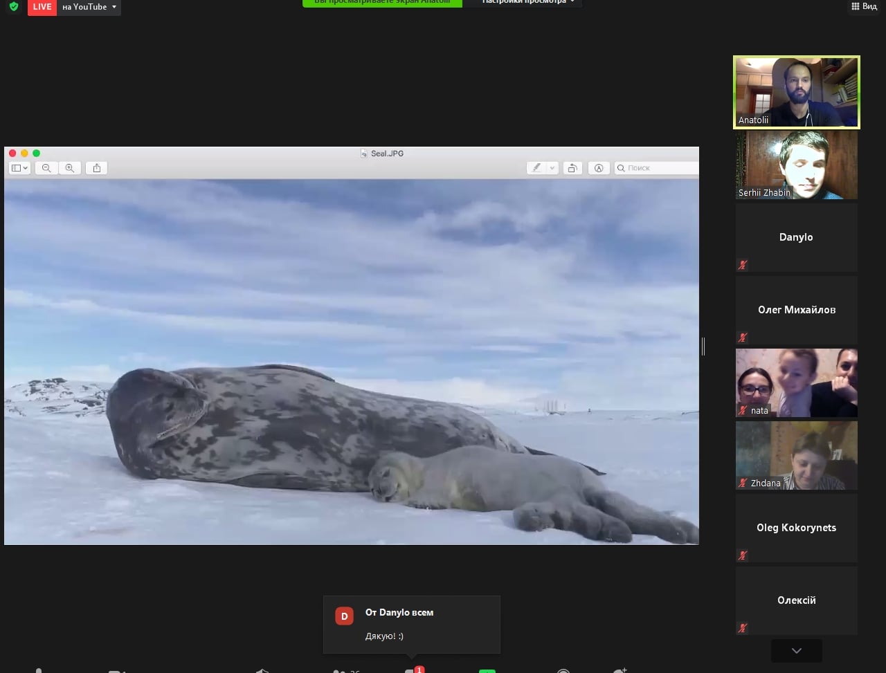 Антарктида. Фото: Facebook "Научные встречи"