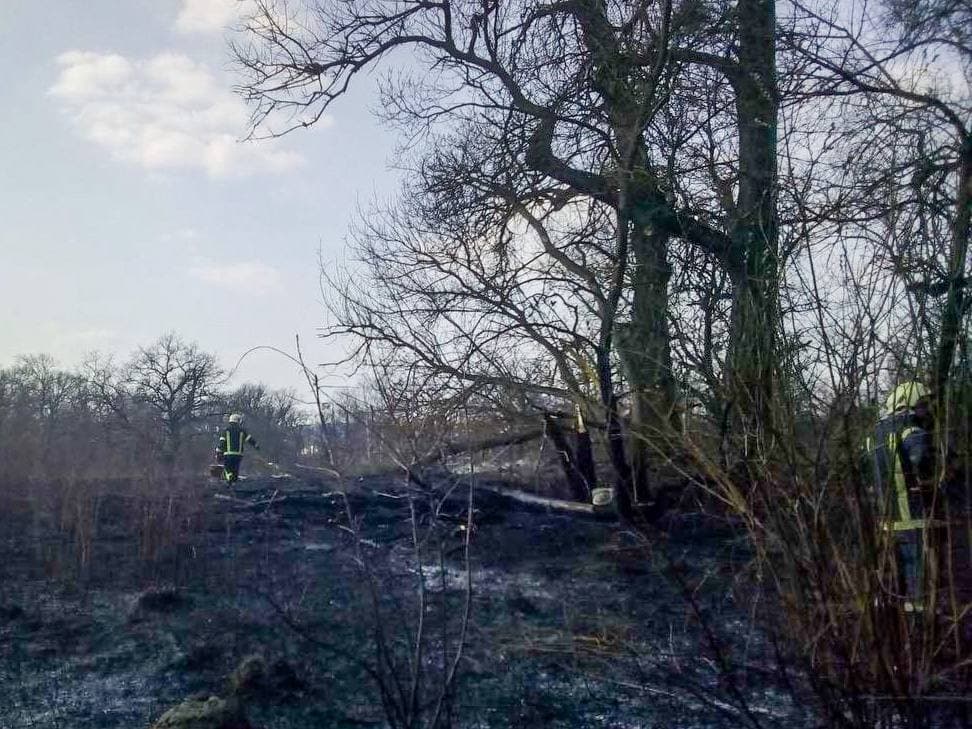Пожар на сухой траве. Фото: ГСЧС Украины в городе Киеве