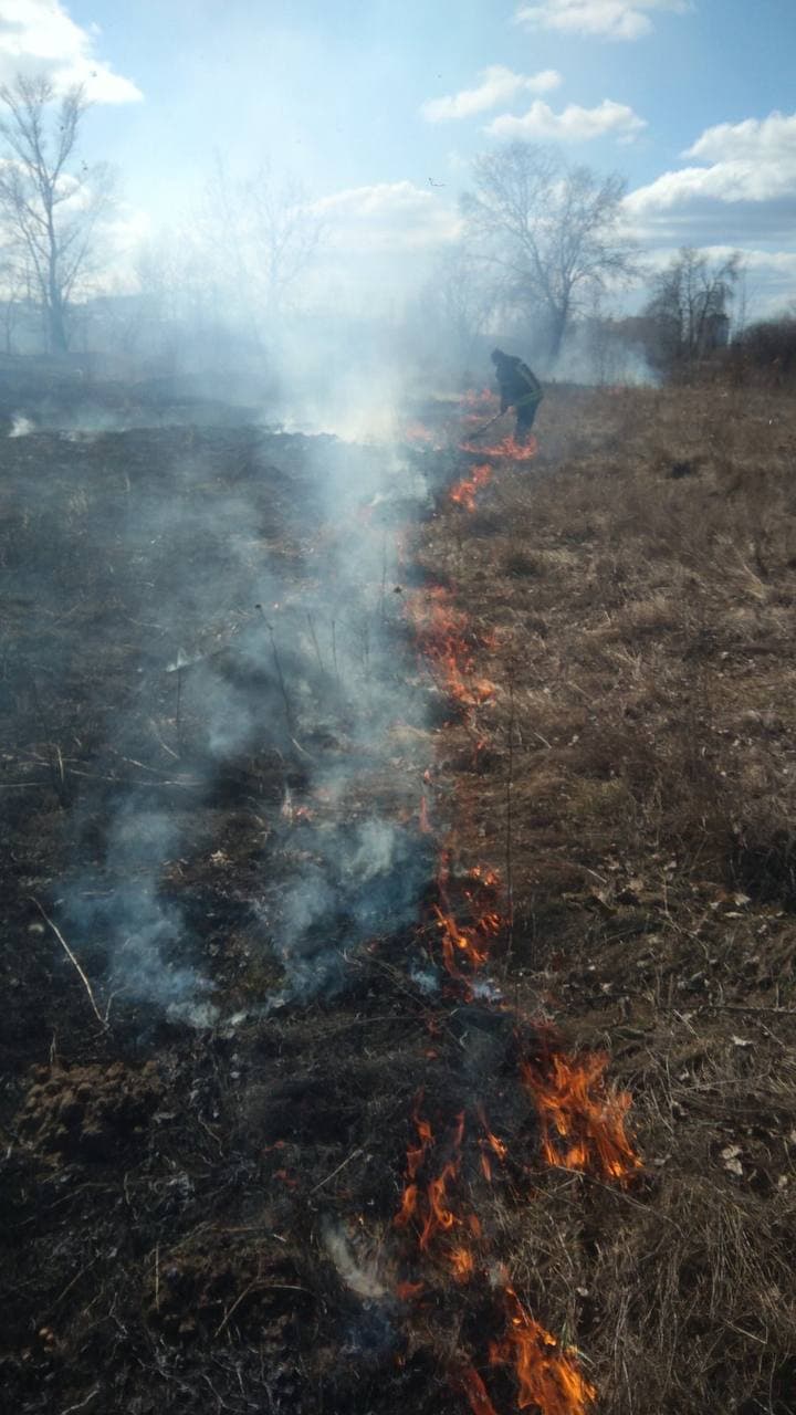 Пожар на сухой траве. Фото: ГСЧС Украины в городе Киеве