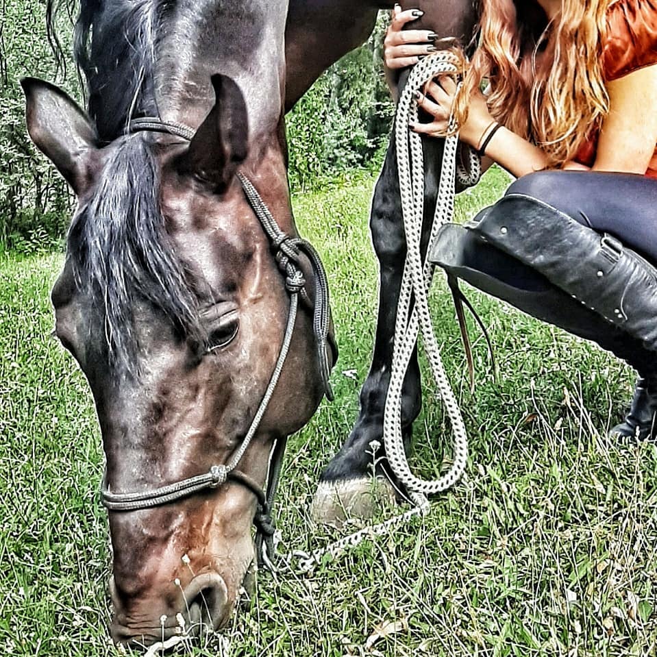 "Щиголь". Фото: Facebook Наталии Марченко