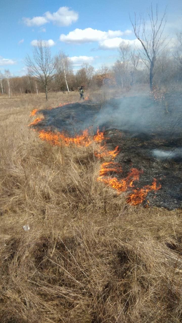 Пожар на сухой траве. Фото: ГСЧС Украины в городе Киеве