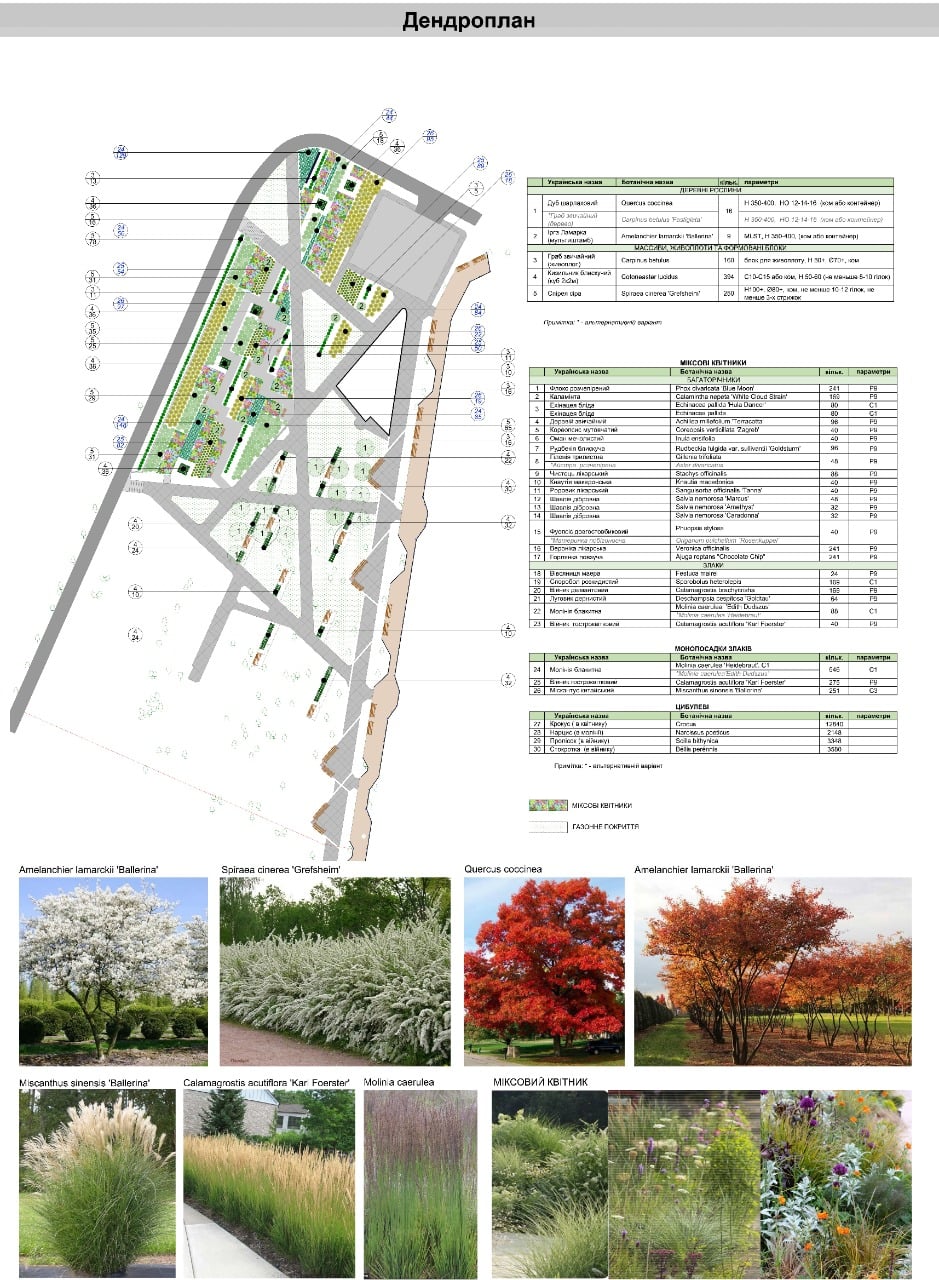 Реконструкция Голосеевского парка. Фото: Киевзеленстрой. 