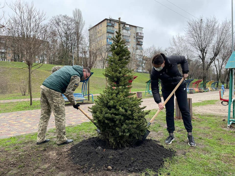 Звездный лес. Фото: "Киевзеленстрой"