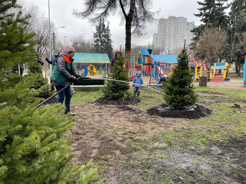 Звездный лес. Фото: "Киевзеленстрой"