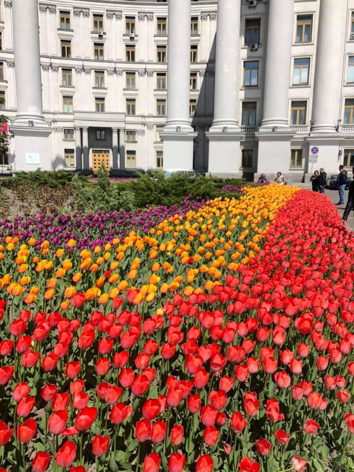 Тюльпаны в центре Киева. Фото: Facebook Алексея Короля 