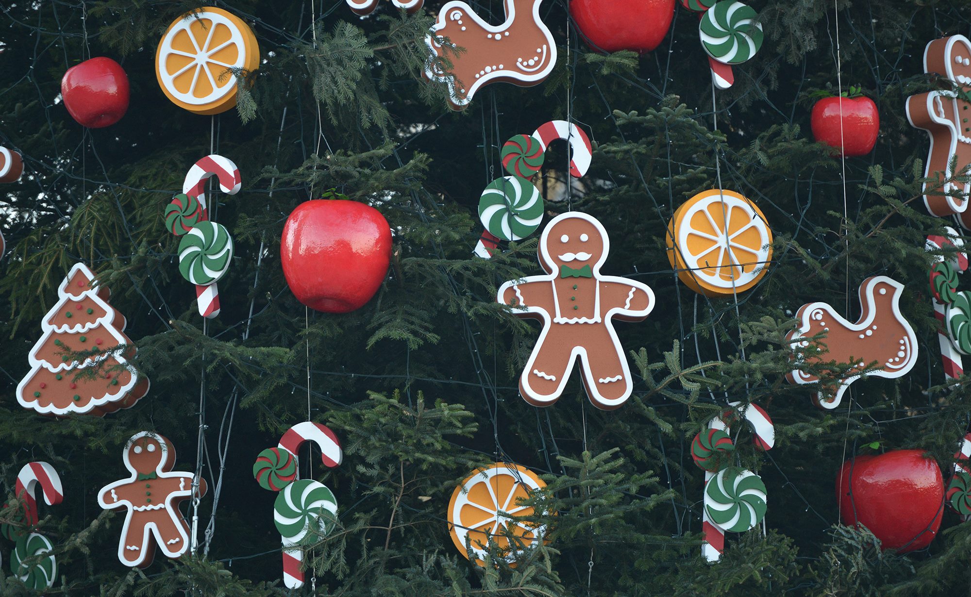 Главная елка НГ 2016. Фото: Facebook Анны Старостенко