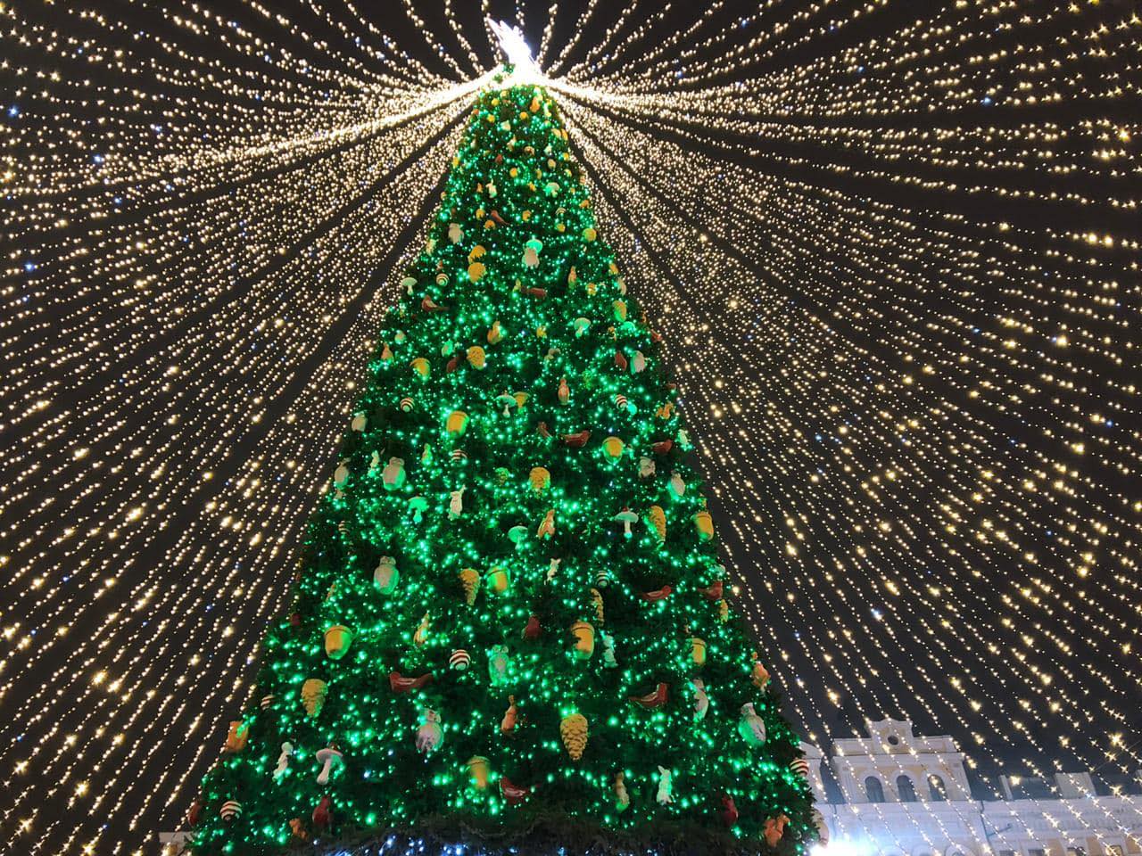 Главная елка страны НГ 2021. Фото: Facebook Анны Старостенко