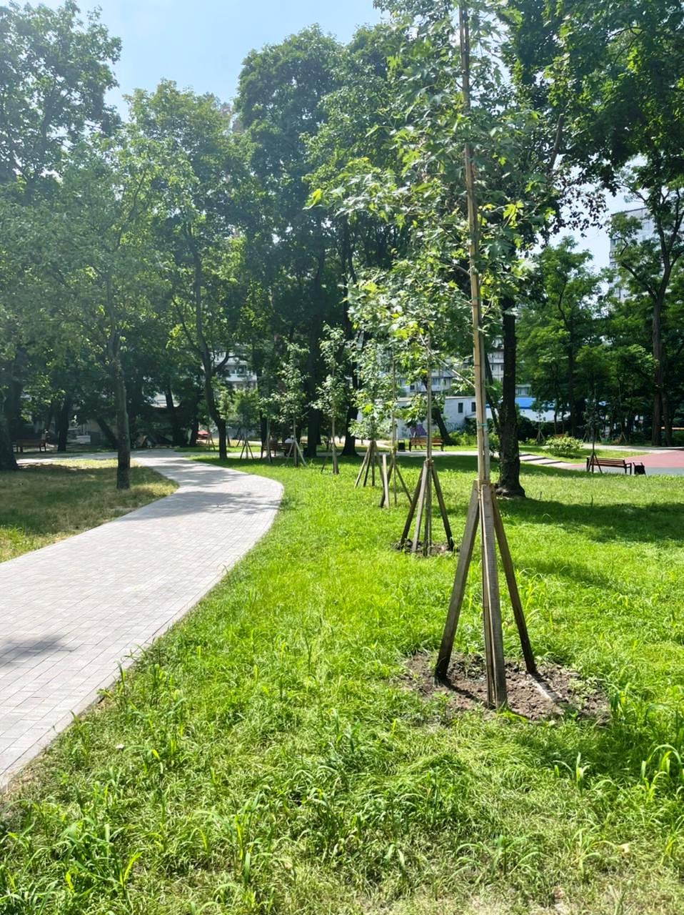 В Святошинском районе продолжают ремонтировать скверы. Фото: "Киевзеленстрой"
