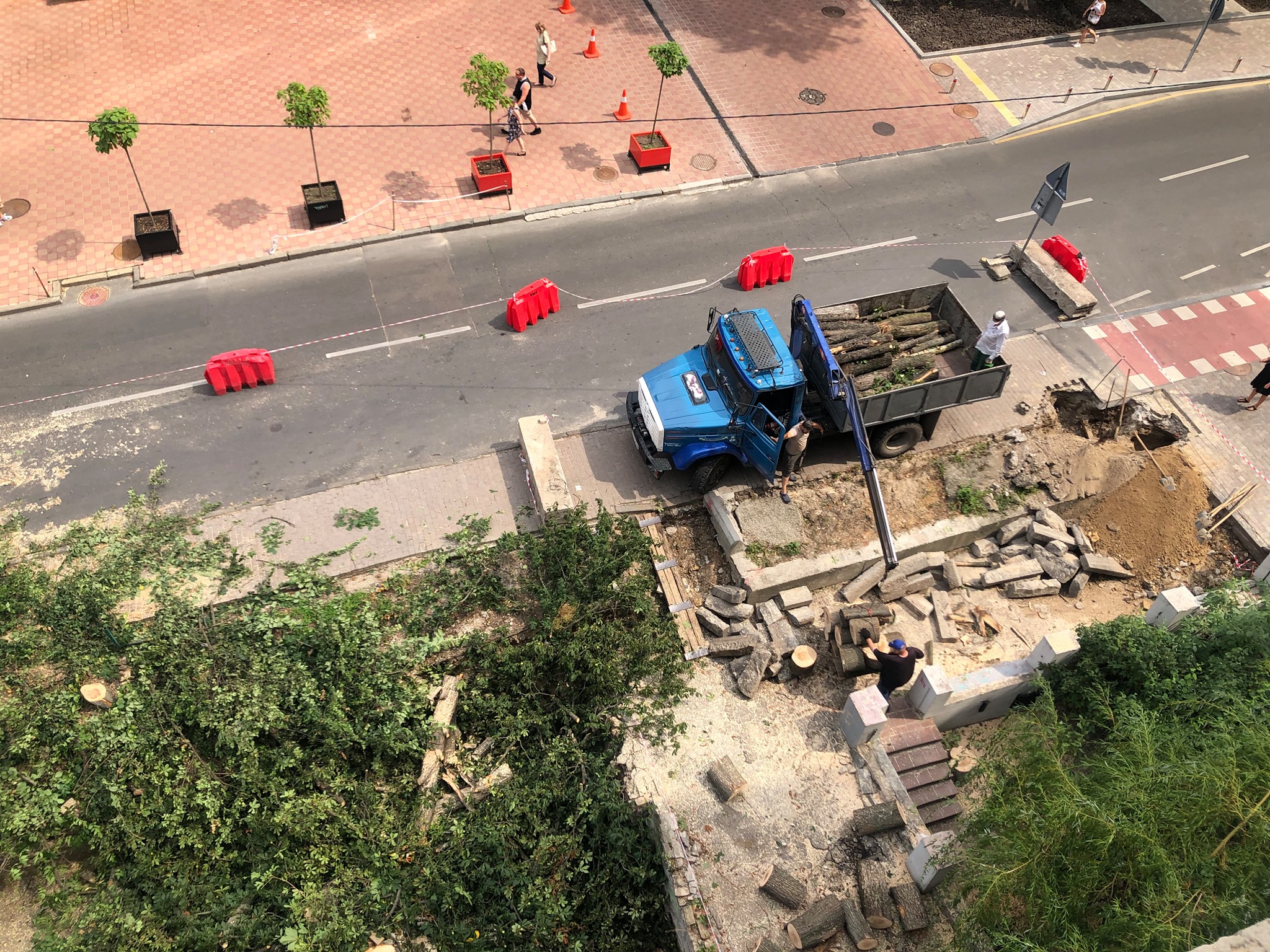 Спиленные деревья. Фото: Facebook Lada Lefor