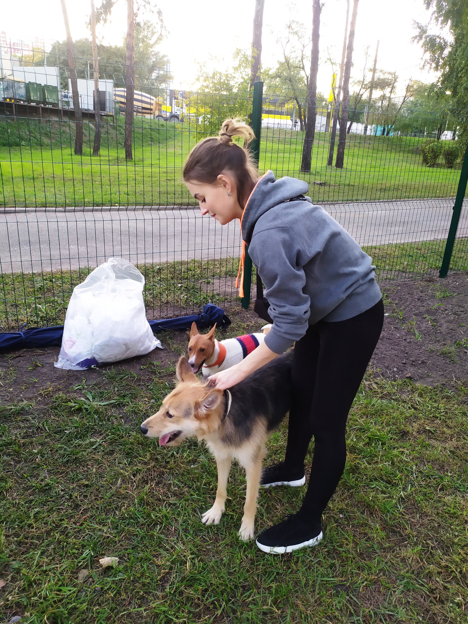 В Днепровском районе открыли новую площадку для выгула собак. Фото: "Київзеленбуд"