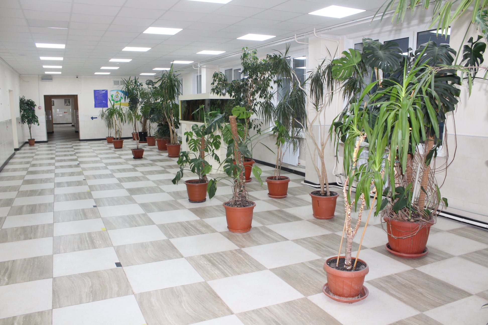 Реконструкция 315 школы