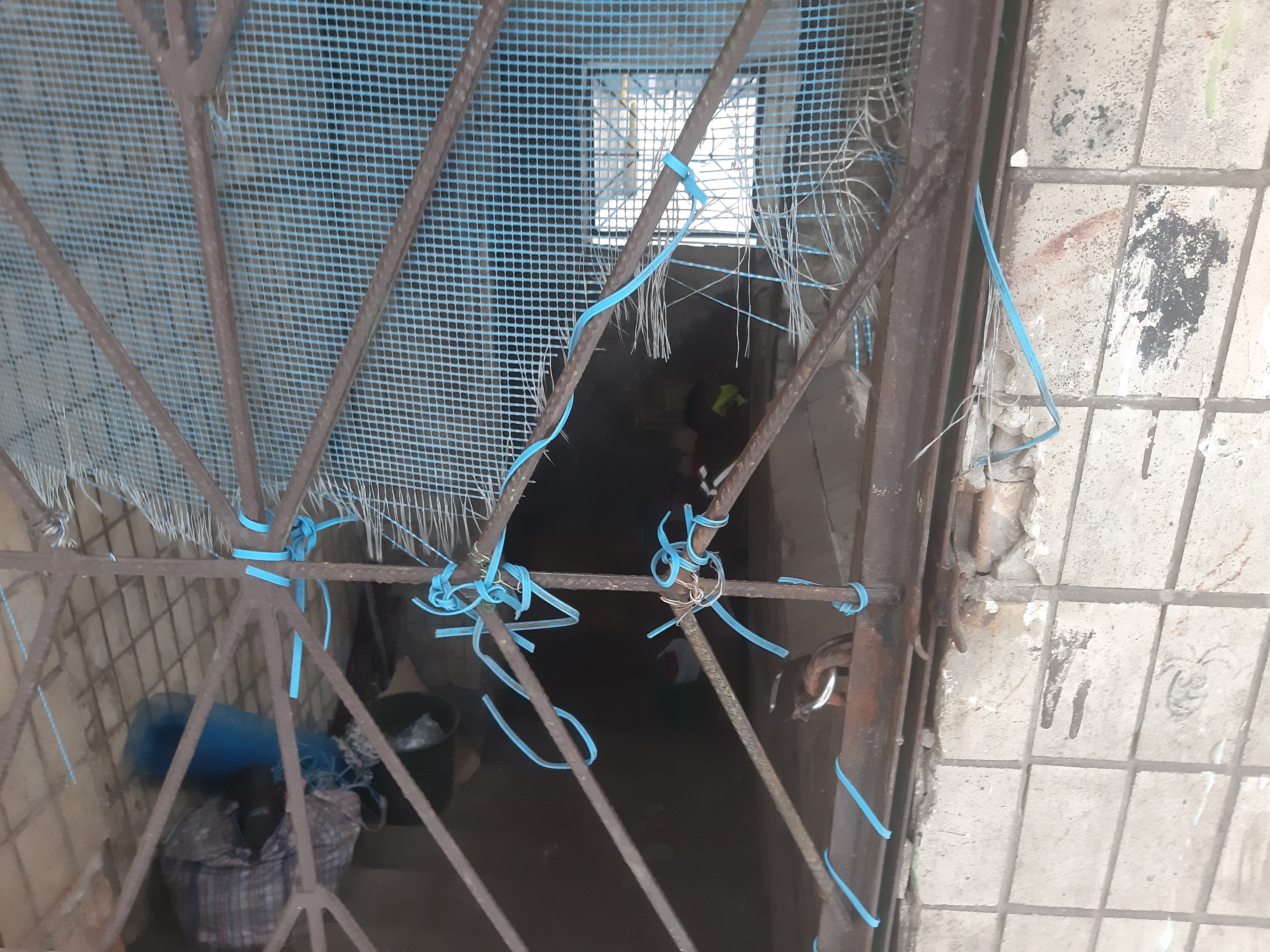 Подвал. Фото: "Сегодня"