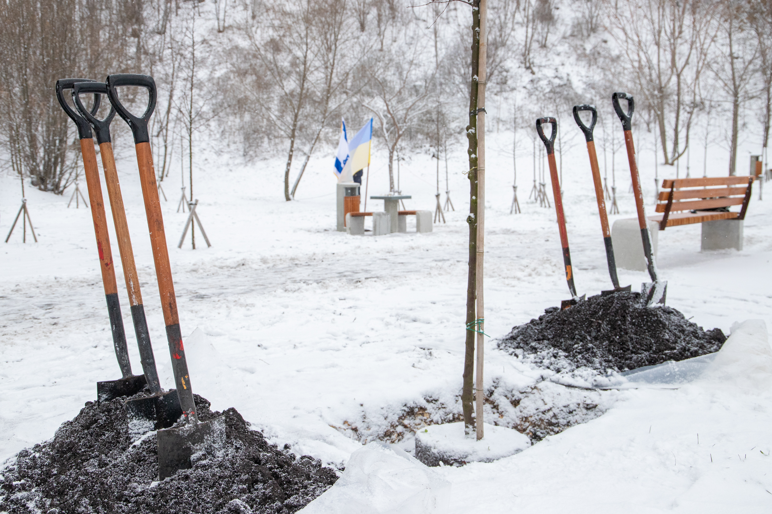 Парк дружбы Украины и Израиля. Фото: КГГА