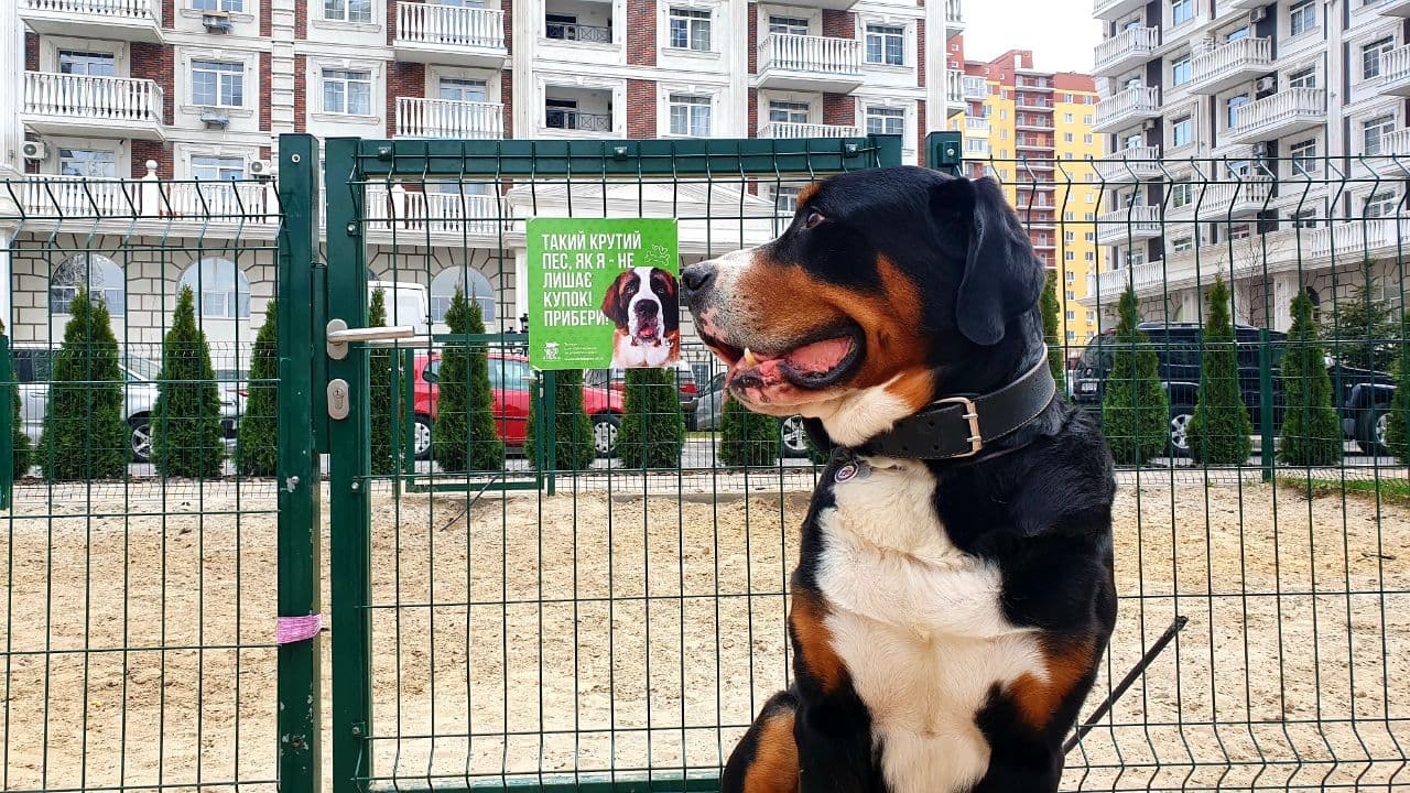 Нова Англія