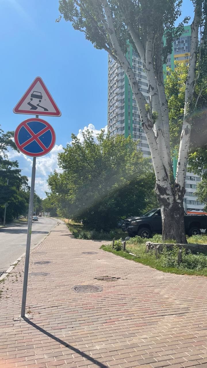 "Автохам" на Вышгородской. Фото: Vgorode