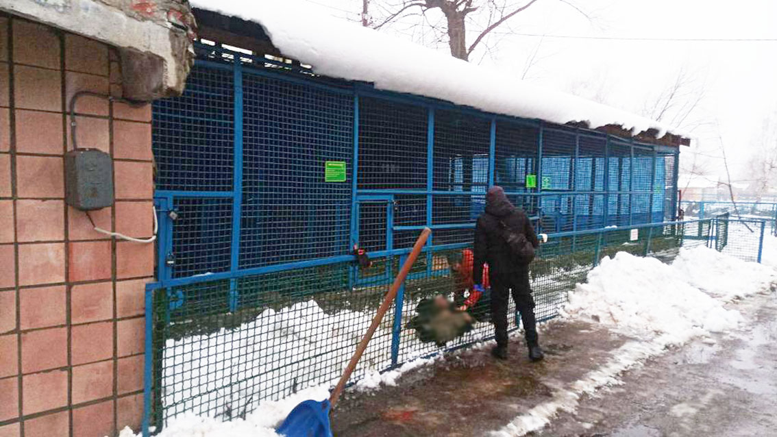 Клетка тигра в Черниговской области. Фото: Полиция Черниговской области