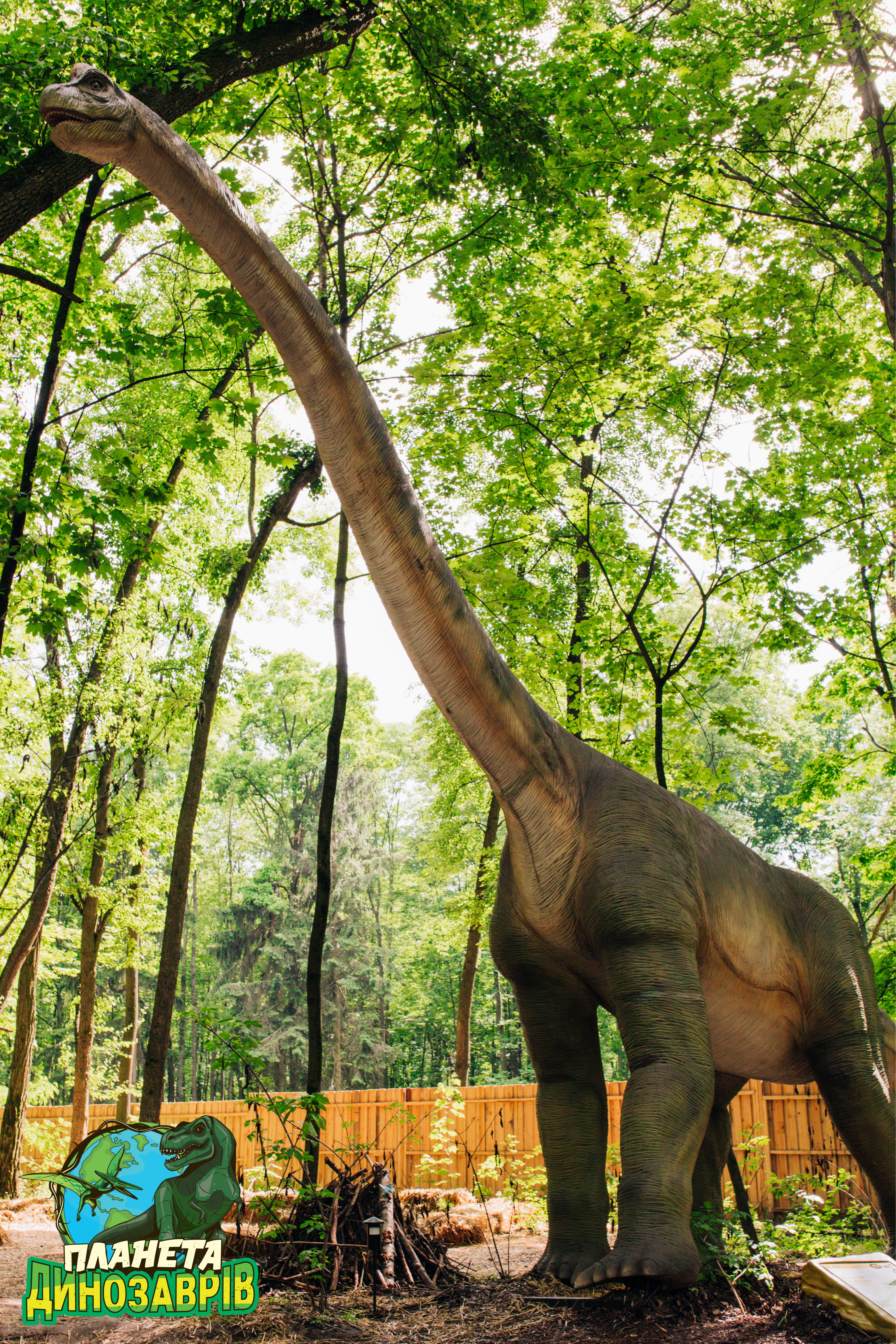 "Планета динозавров" на ВДНГ