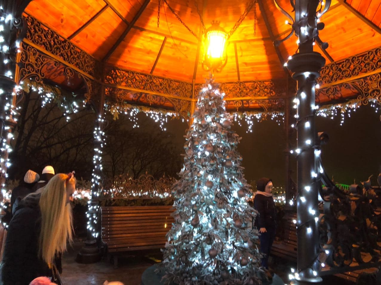 Елка на Владимирской горке. Фото: Vgorode