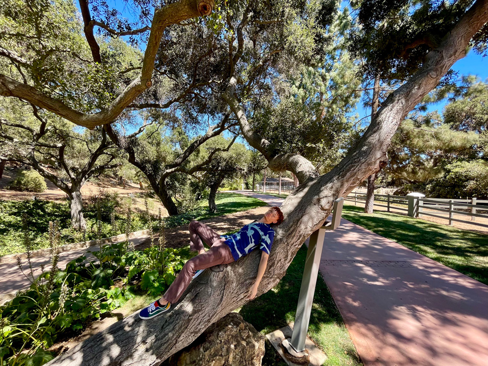 Новый iPhone. Фото: Apple