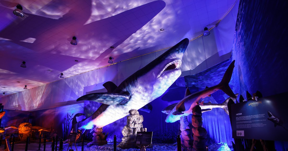 "Зимова країна". Фото: ВДНГ