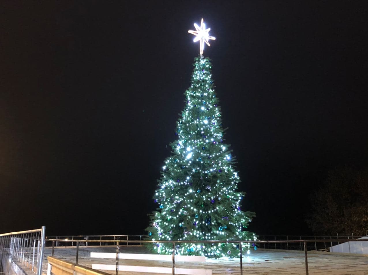 Елка возле Арки дружбы народов. Фото: Vgorode