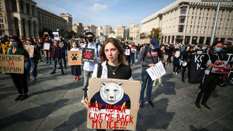 "Твоя шуба кричала перед смертью": в Киеве прошла акция в защиту животных фото 1