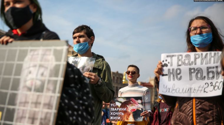 "Твоя шуба кричала перед смертью": в Киеве прошла акция в защиту животных фото 3 2