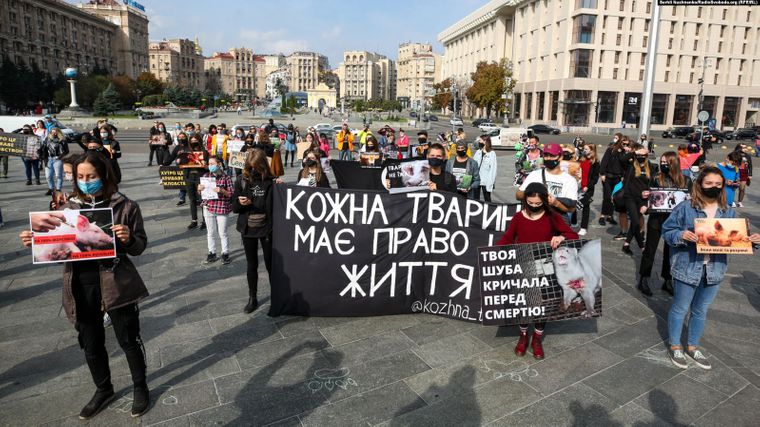 "Твоя шуба кричала перед смертью": в Киеве прошла акция в защиту животных фото 4 3